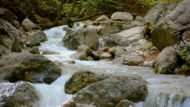 Wohlhabender Gebirgsbach nach einem Regen. — Stockvideo