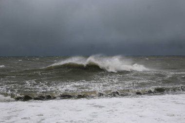 Karadeniz kıyısında fırtına dalgaları. Gri gökyüzünün altında büyük dalgalar. Fırtınalı hava