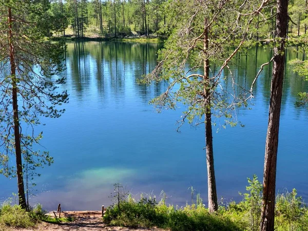 Meer met blauw water in een dennenbos — Stockfoto