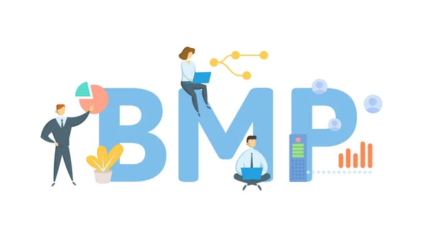 BMP, найкраща практика управління. Концепція з ключовим словом - люди і іконки. Плоский вектор. Ізольовані на білому. — стоковий вектор
