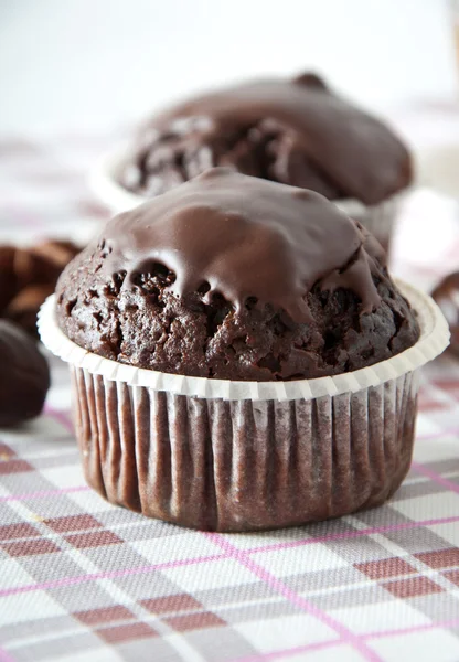 Chocolate muffins Stock Image