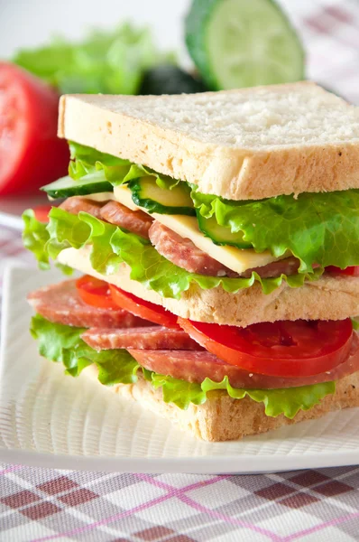 Färska och läckra sandwich på en vit platta — Stockfoto