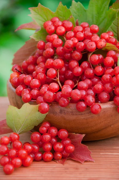 Красные ягоды вибурнума в деревянной чаше — стоковое фото