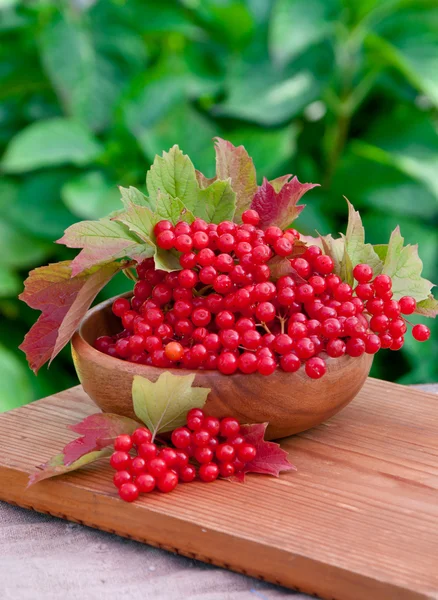 Червоні ягоди калини в дерев'яній мисці — стокове фото