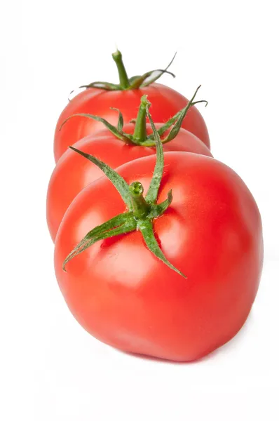 Tomates sobre fondo blanco — Foto de Stock