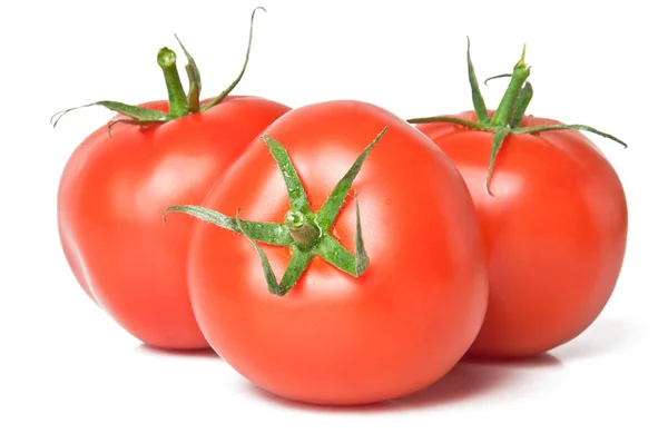 Tomates sobre fondo blanco — Foto de Stock