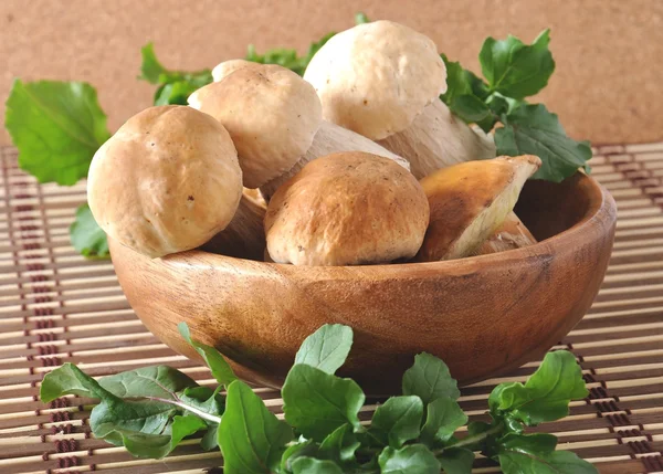 Boletes en un cuenco de madera — Foto de Stock