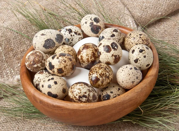 Ovos de galinha e codorniz em tigela de madeira — Fotografia de Stock