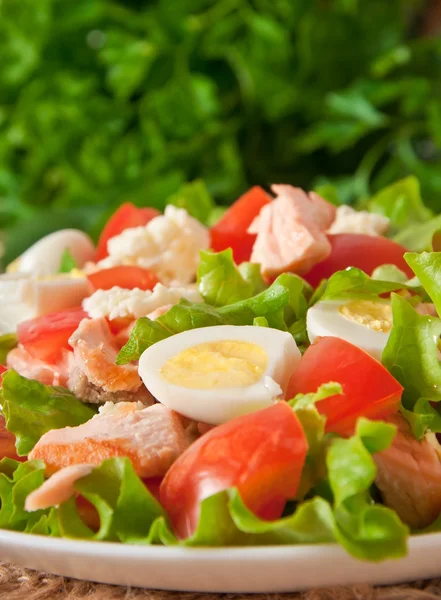 Färsk lax sallad, sallad och vaktel ägg — Stockfoto