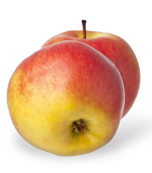 하얀 배경에 분리되어 있는 사과 두 개 — 스톡 사진