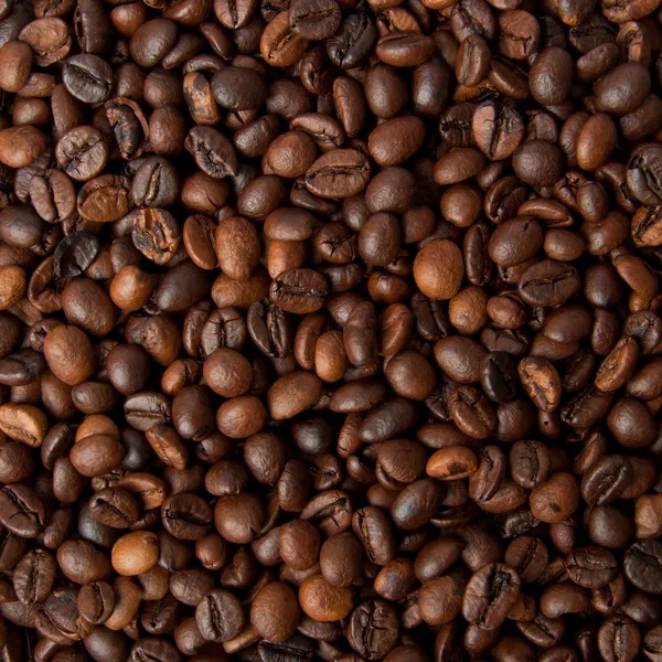 Texture of brown coffee beans — Stock Photo, Image