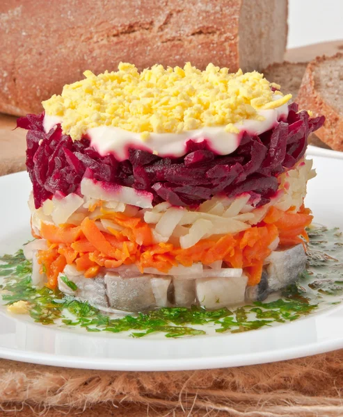 Russische traditionele haring salade — Stockfoto