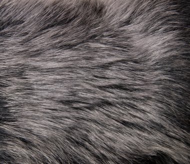 soyut kürk arka plan görüntüsünü kapatmak