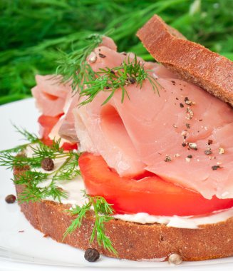 iştah açıcı sandviç somon ile