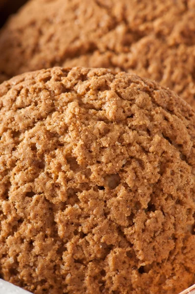 Close-up van havermout cookies — Stockfoto