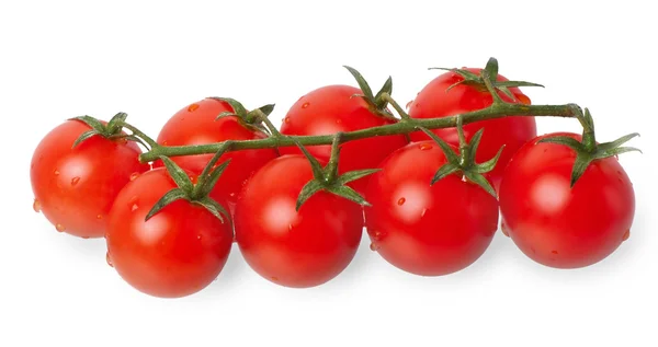 在白色背景上分离的樱桃番茄 — 图库照片