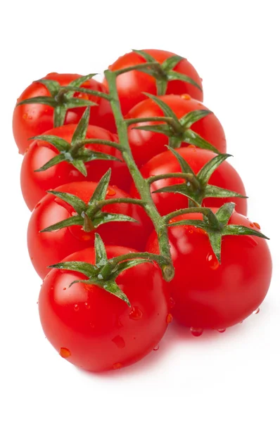 Tomates cereza aislados sobre fondo blanco —  Fotos de Stock