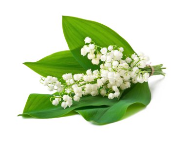 bouquet of lilies of the valley isolated on white background clipart