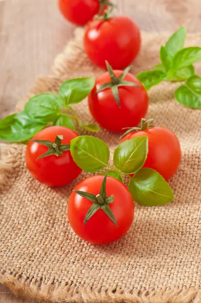 Freshly harvested summer cherry tomatoes on wooden background — Stock Photo, Image