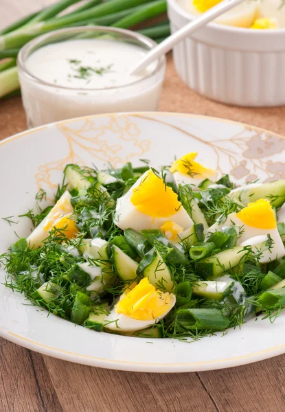 Salata, haşlanmış yumurta, yeşil soğan ve salatalık yoğurt sos ile — Stok fotoğraf
