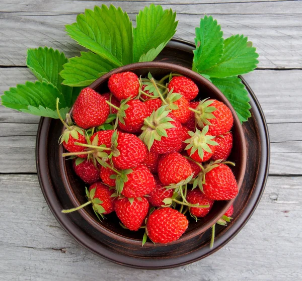 Erdbeeren auf einer Schüssel im Sommergarten — Stockfoto