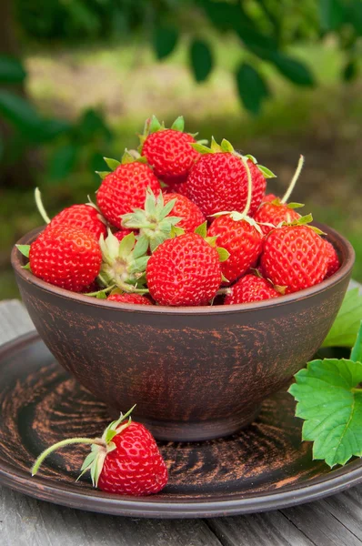 ग्रीष्मकालीन उद्यान में एक कटोरे पर स्ट्रॉबेरी — स्टॉक फ़ोटो, इमेज