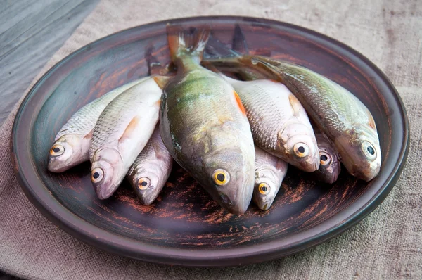 Poisson cru dans une vieille assiette en céramique — Photo