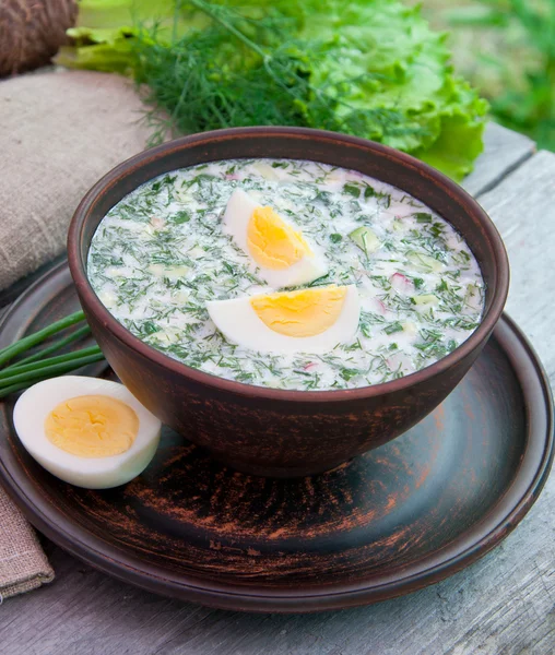 Cold vegetable kefir soup with eggs and greens — Stock Photo, Image