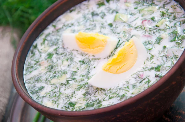 Kalla vegetabiliska kefir soppa med ägg och gröna — Stockfoto