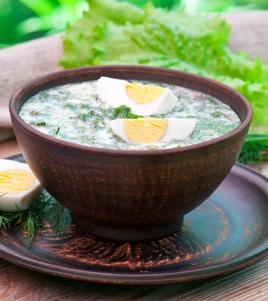 Kalla vegetabiliska kefir soppa med ägg och gröna — Stockfoto