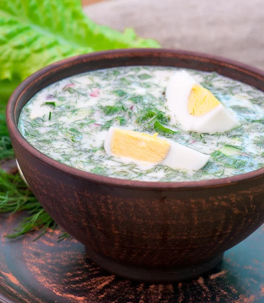 Cold vegetable kefir soup with eggs and greens — Stock Photo, Image