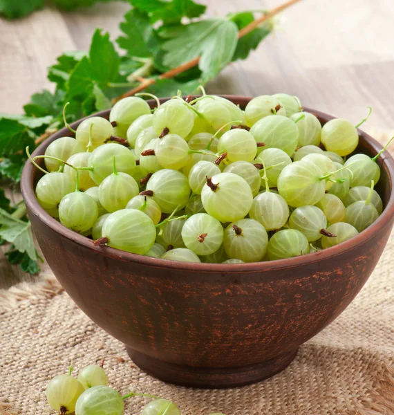 Green gooseberries in a ceramic bowl — Stock Photo, Image