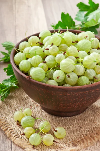 Green gooseberries in a ceramic bowl — Stock Photo, Image