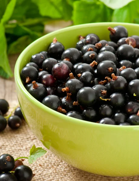 Black currants in a bowl on wooden background — Stock Photo, Image