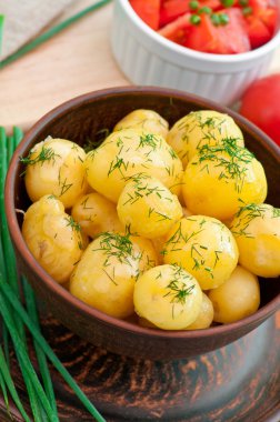 Genç kase üzerine dereotu patates haşlanmış