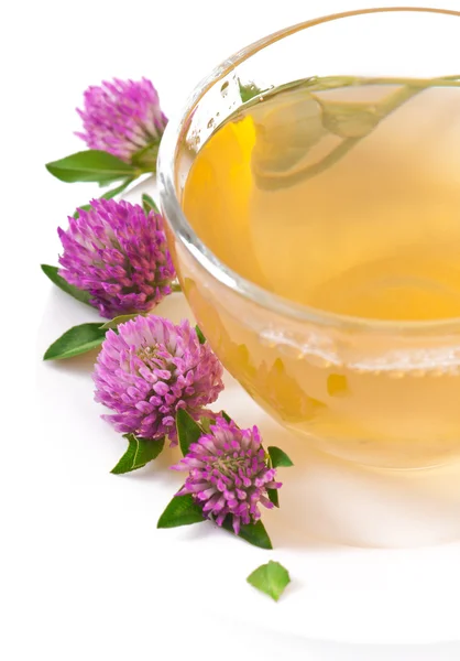 Gyógynövény tea leaf clover — Stock Fotó