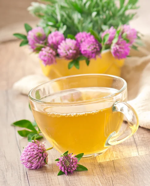 Gyógynövény tea leaf clover — Stock Fotó
