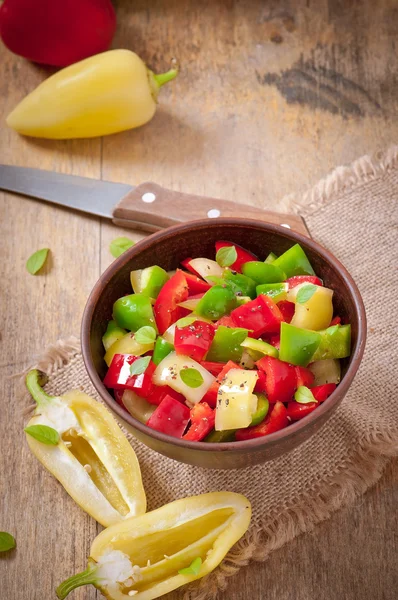 Ensalada de pimientos dulces de colores con aceite de oliva — Foto de Stock