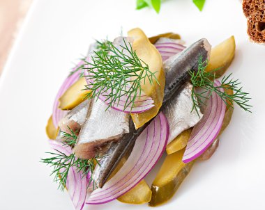 ringa balığı salata salatalık turşusu ve soğan ile