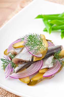 ringa balığı salata salatalık turşusu ve soğan ile