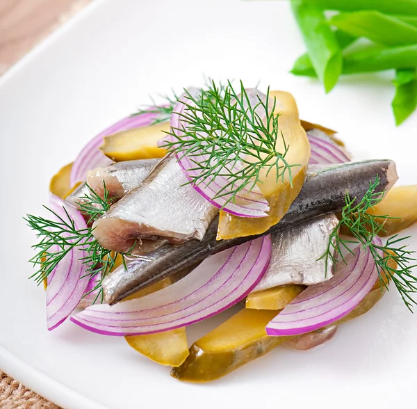 Ringa balığı salata salatalık turşusu ve soğan ile — Stok fotoğraf