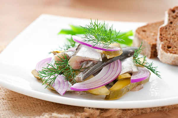 Ensalada de arenque con pepinos y cebollas en escabeche —  Fotos de Stock