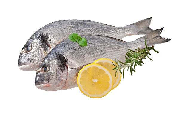 Świeże, surowe ryby dorado na białym tle — Zdjęcie stockowe