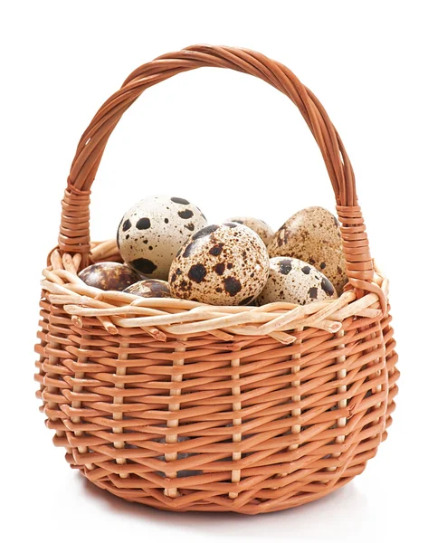 Перепелині яйця в плетеному кошику ізольовані на білому тлі — стокове фото
