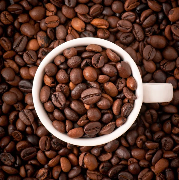 Chicchi di caffè con tazza bianca — Foto Stock