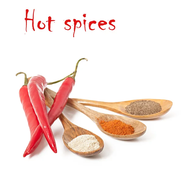 Různé horké koření v vařečky — Stock fotografie
