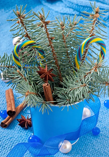 Juldekorationer och fir grenar i hink på blå bakgrund — Stockfoto