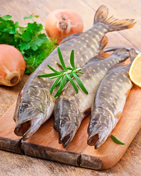 Pike rauwe vis voorbereiding te bakken in de keuken — Stockfoto