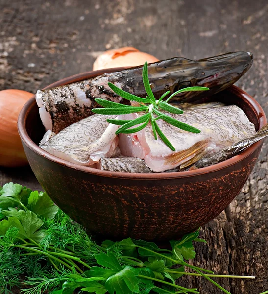 Piece of fresh raw fish in bowl — Stock Photo, Image