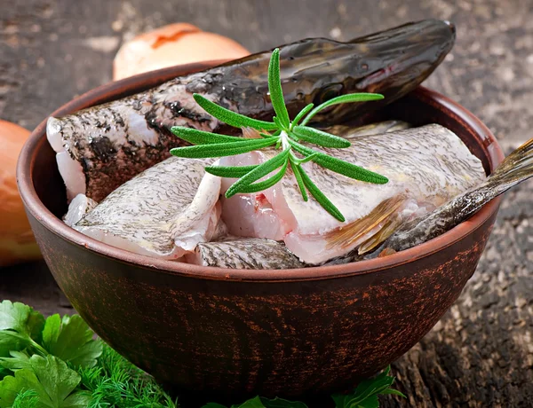 Piece of fresh raw fish in bowl — Stock Photo, Image